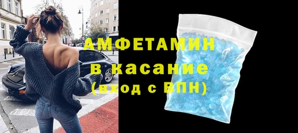 индика Алексин