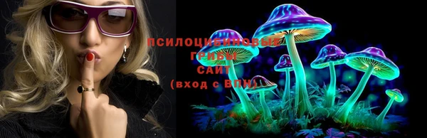 2c-b Абдулино