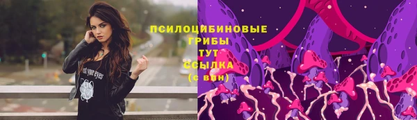 2c-b Абдулино