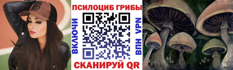 Псилоцибиновые грибы Psilocybe  Серафимович 